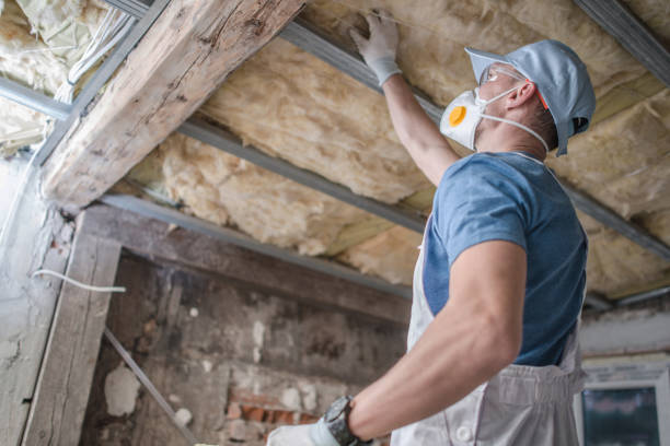 Best Home Insulation Services  in Pittston, PA