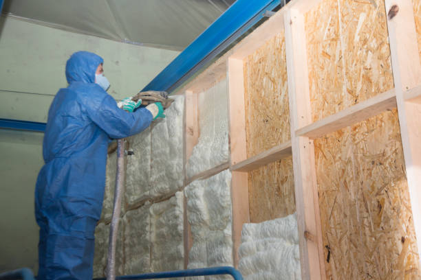Best Professional Insulation Contractor  in Pittston, PA